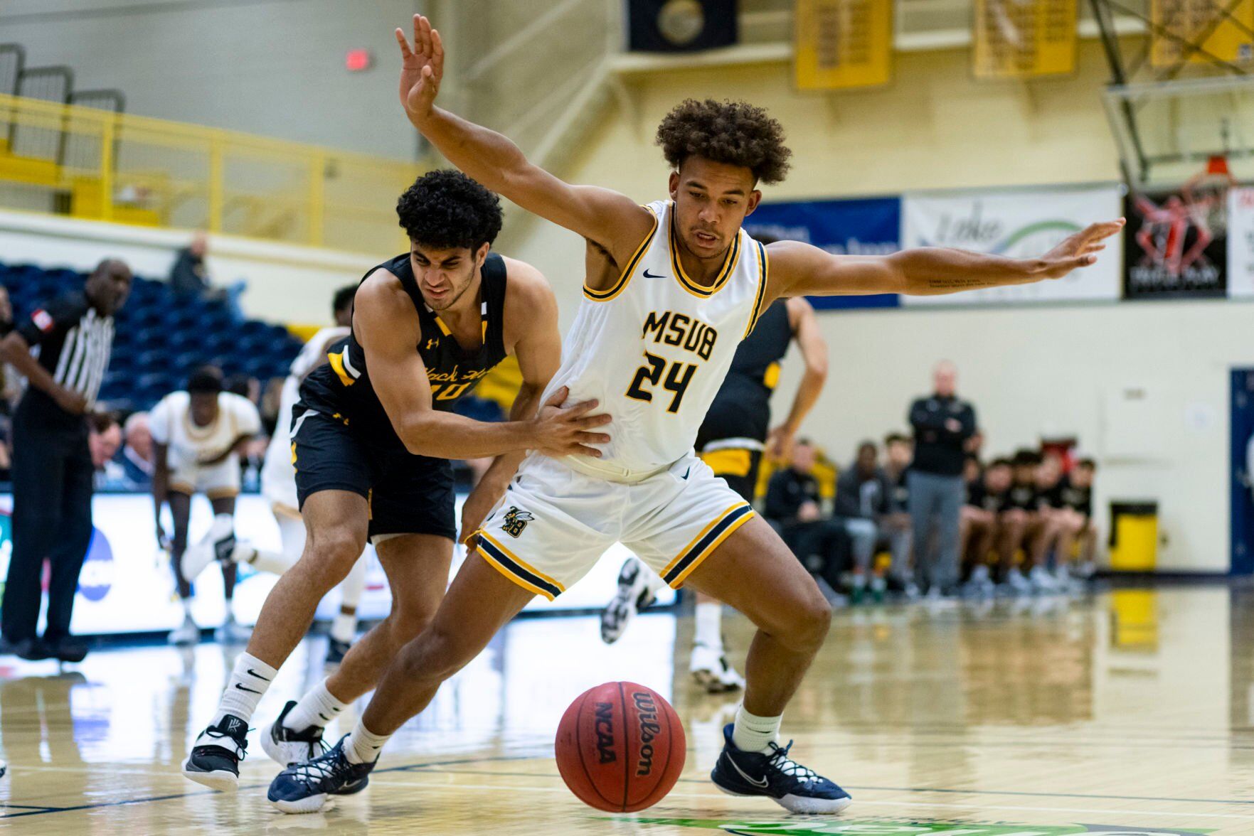 MSU Billings vs. Black Hills State